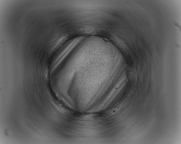 X0000097480072200803071726