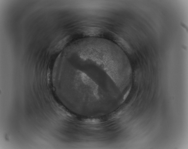 X0000097480073200803071726