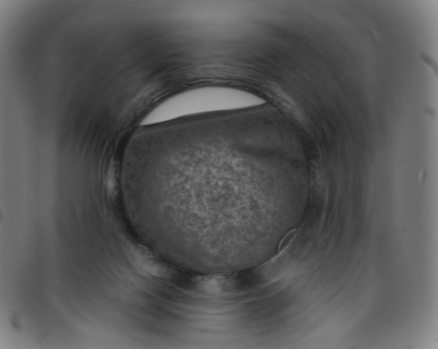 X0000097480074200803071726