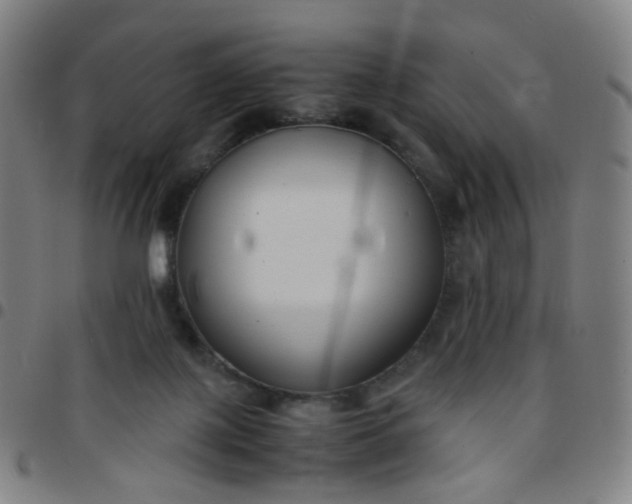 X0000097480075200803071726