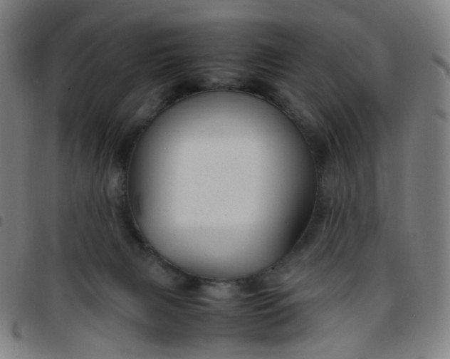 X0000097480079200803071726