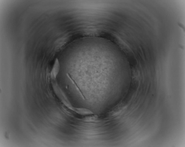 X0000097480080200803071726