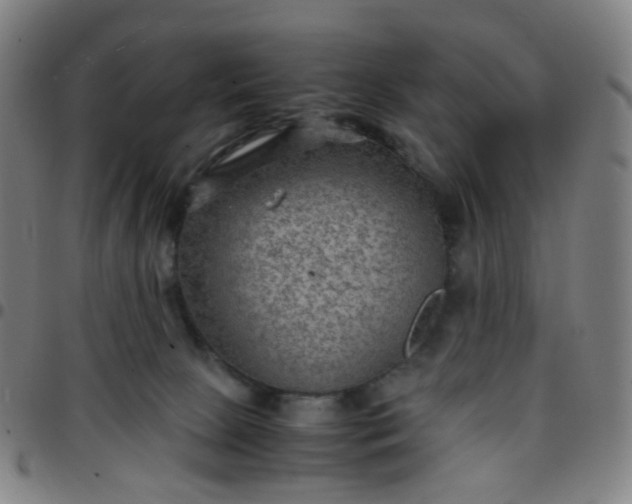 X0000097480081200803071726