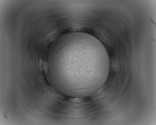 X0000097480082200803071726