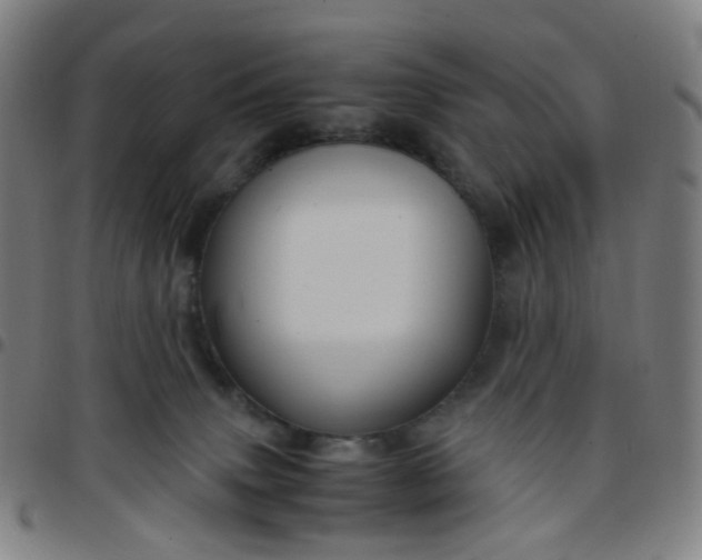 X0000097480083200803071726