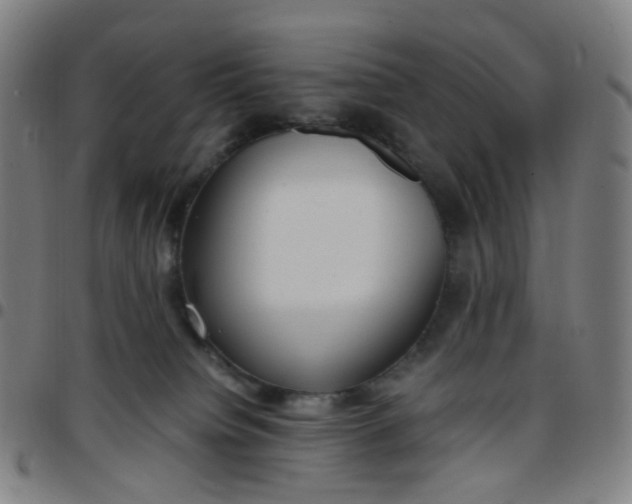 X0000097480084200803071726