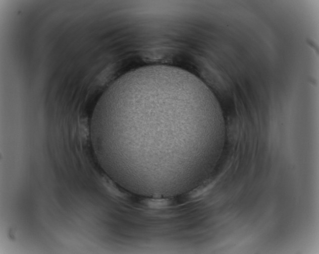 X0000097480085200803071726