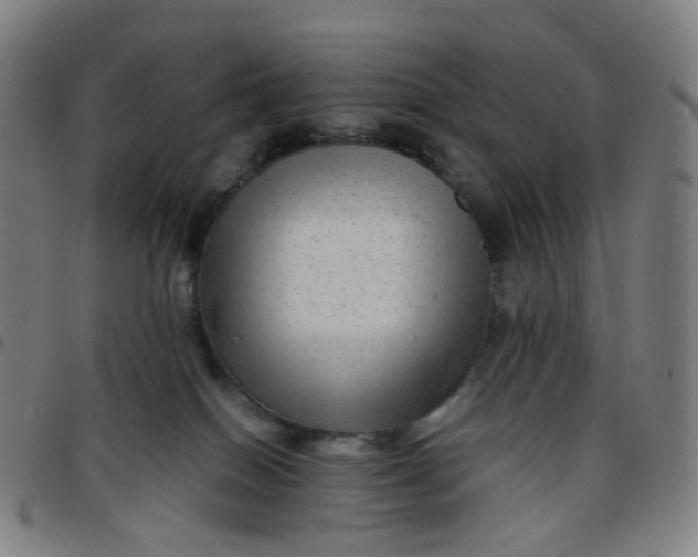 X0000097480086200803071726