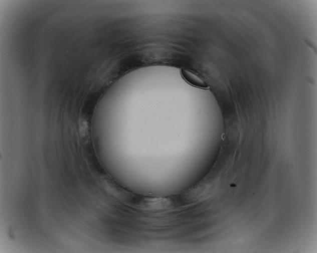 X0000097480087200803071726