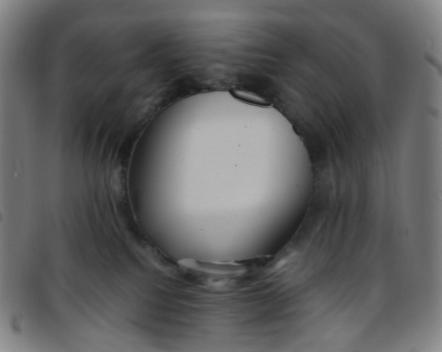 X0000097480088200803071726