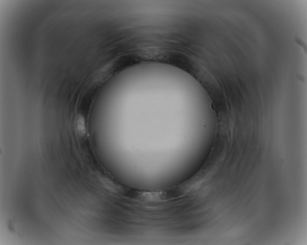 X0000097480089200803071726