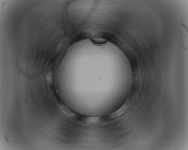 X0000097480090200803071726