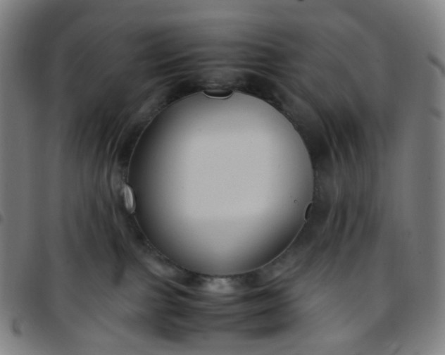 X0000097480091200803071726