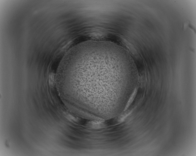 X0000097480093200803071726