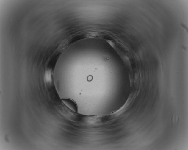 X0000097480094200803071726