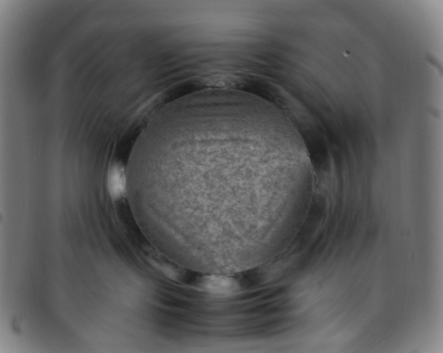 X0000097480095200803071726