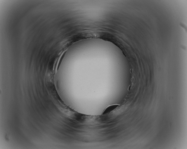 X0000097480096200803071726