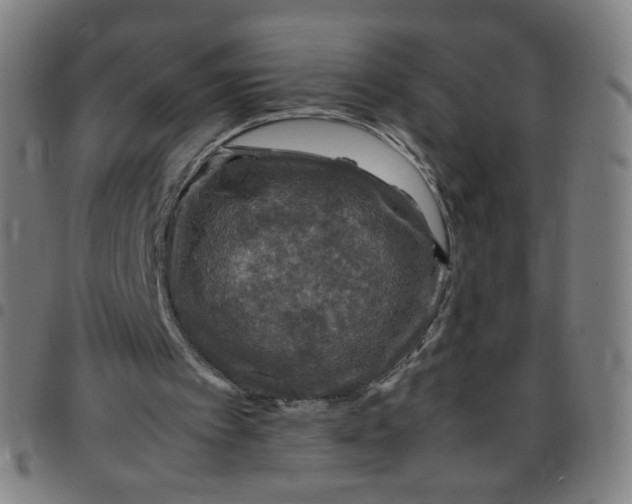 X0000097480097200803071726