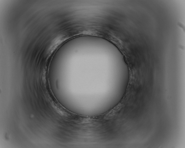 X0000097480098200803071726