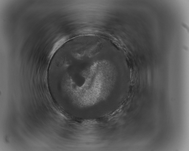 X0000097480099200803071725