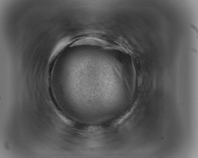 X0000097480101200803071725