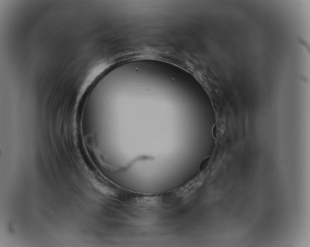 X0000097480102200803071725