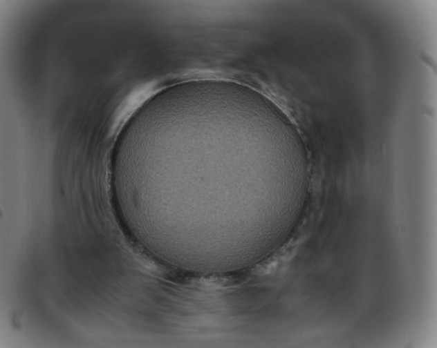 X0000097480103200803071725