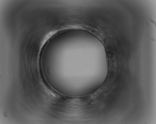 X0000097480104200803071725