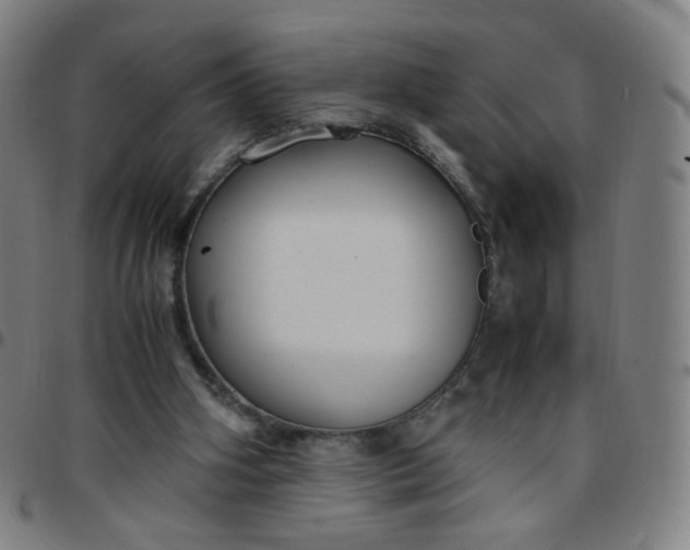 X0000097480106200803071725