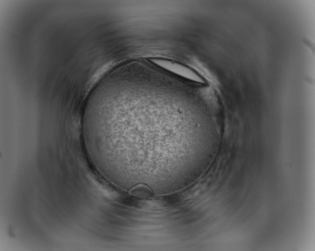 X0000097480107200803071725