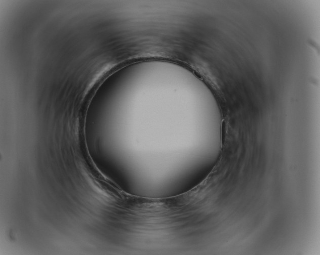 X0000097480108200803071725