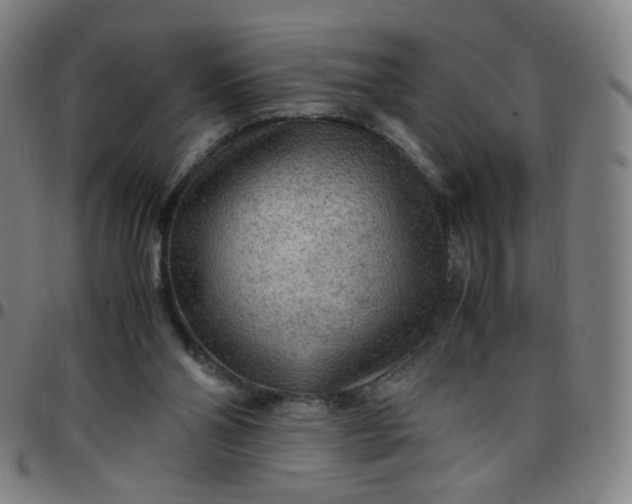 X0000097480110200803071725