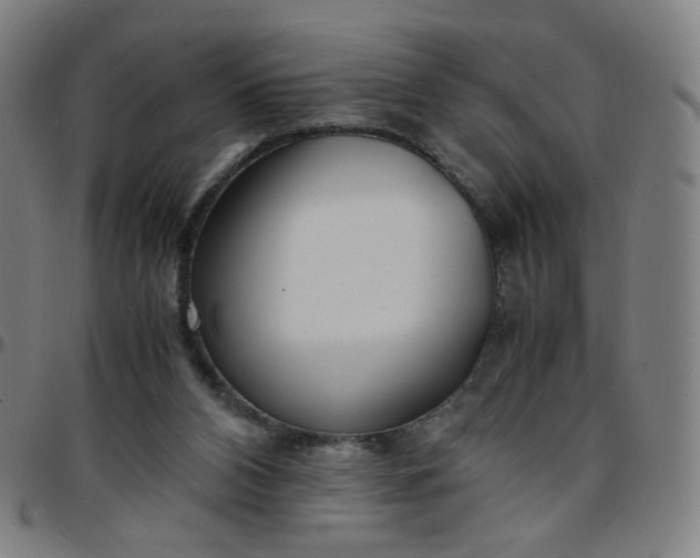 X0000097480112200803071725