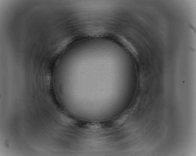 X0000097480113200803071725