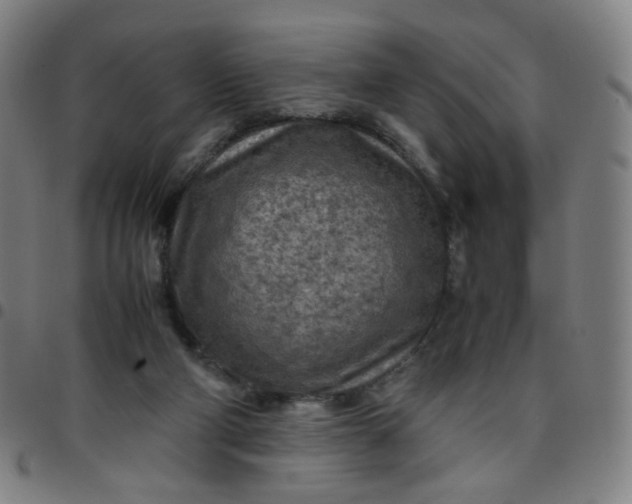 X0000097480114200803071725