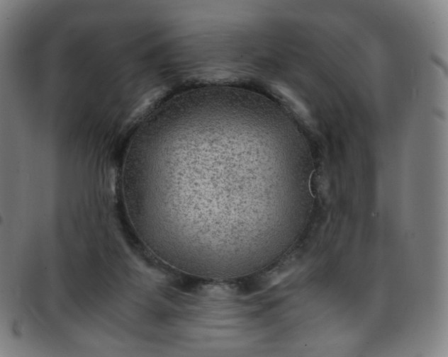 X0000097480115200803071725