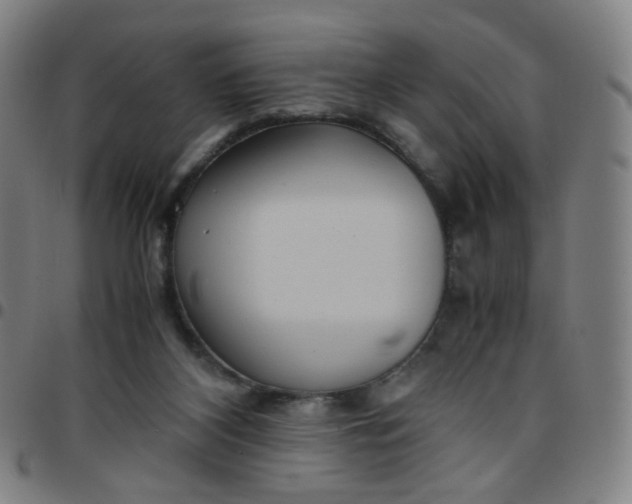 X0000097480116200803071725