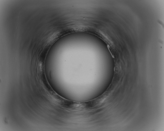 X0000097480117200803071725