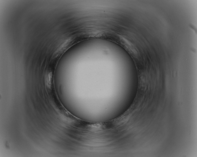 X0000097480118200803071725