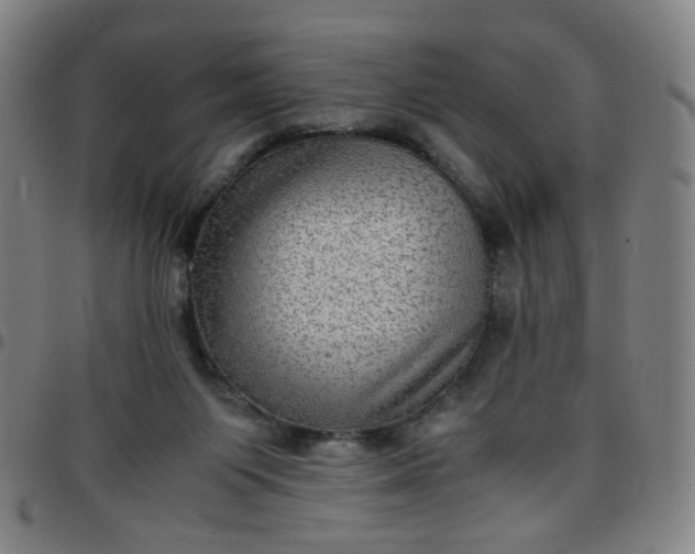 X0000097480119200803071725