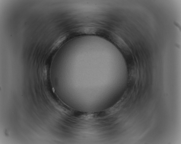 X0000097480120200803071725