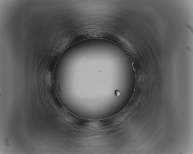 X0000097480121200803071725