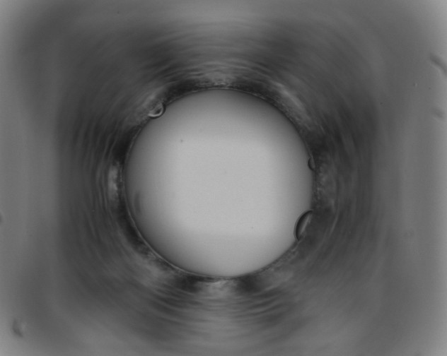 X0000097480122200803071725