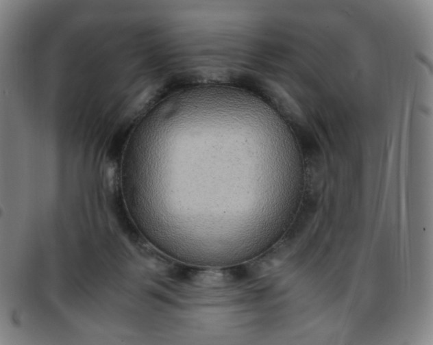 X0000097480123200803071725