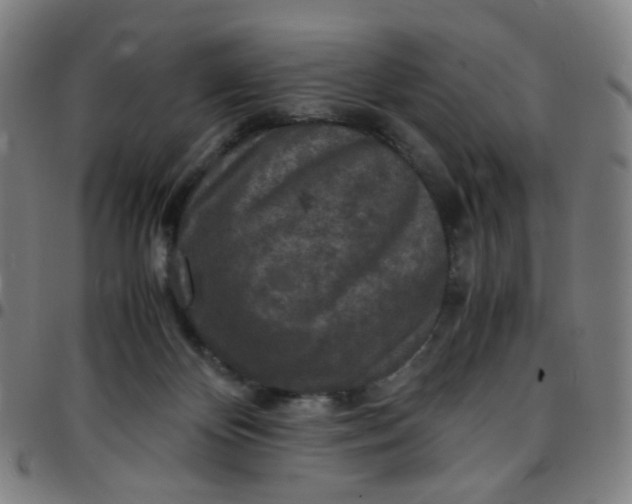 X0000097480124200803071725