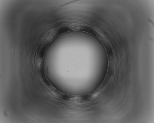 X0000097480125200803071725