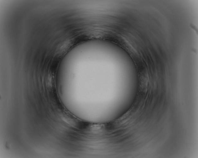 X0000097480126200803071725