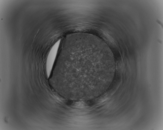 X0000097480127200803071725