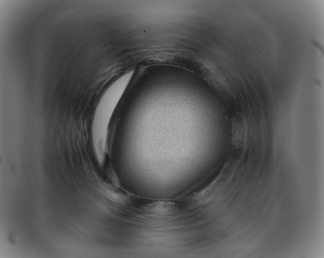 X0000097480128200803071725