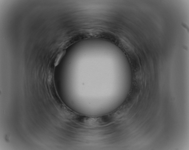 X0000097480129200803071725